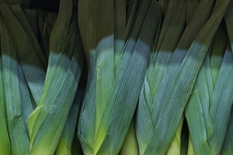 Oligofruktozė