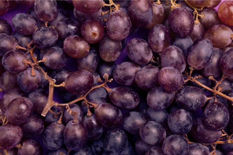 raudonos vynuoges resveratrolis