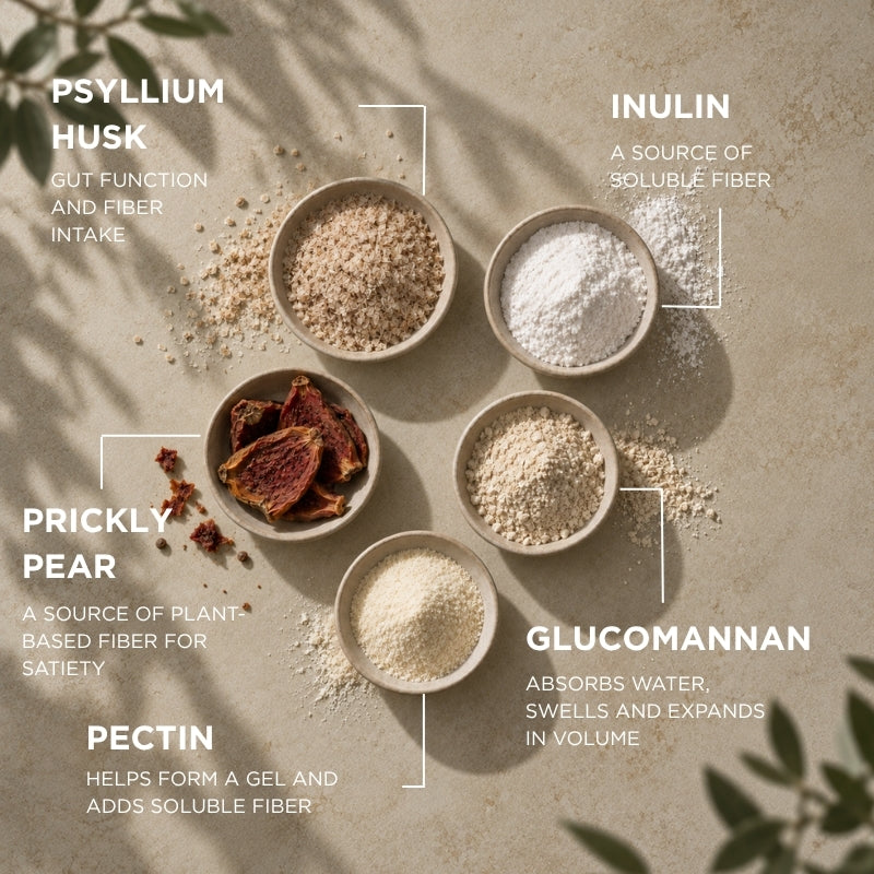 Fiber complex for satiety and weight management OXANTIN® MED Assorbikal Fibre