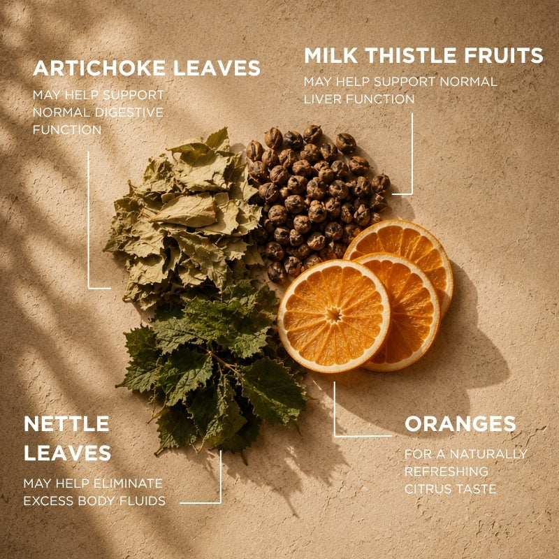 supplement for detox and fluid balance drenlife detox ingredients