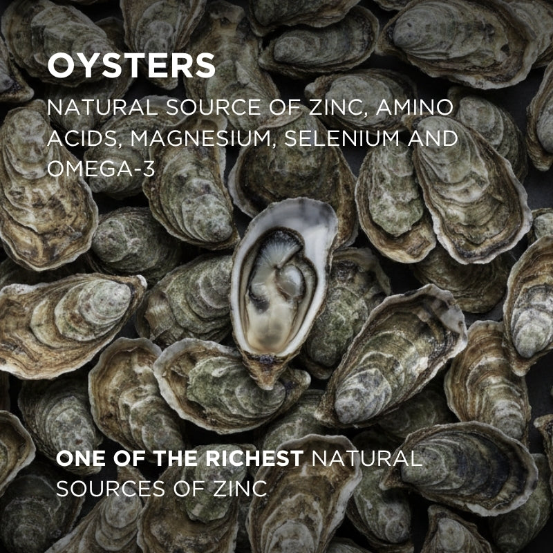 oysters in supplement benefits
