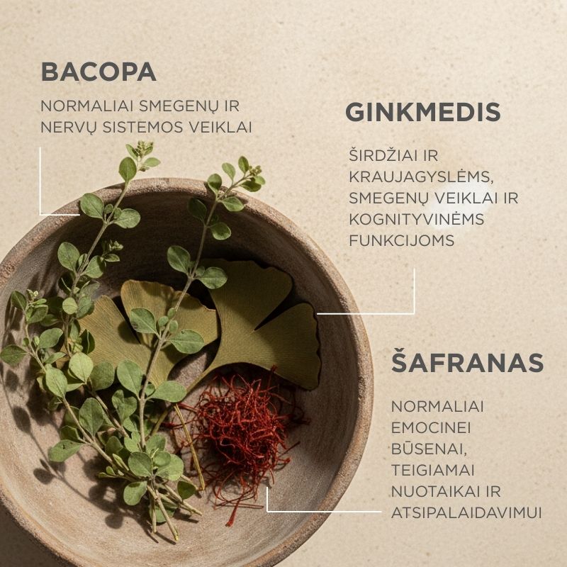 Food supplement with saffron, bacopa and ginkgo Positive Focus & Memory
