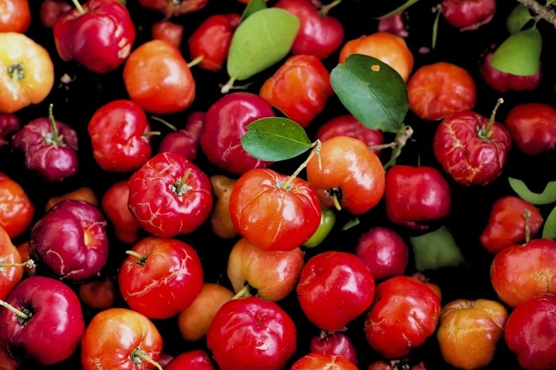 acerola