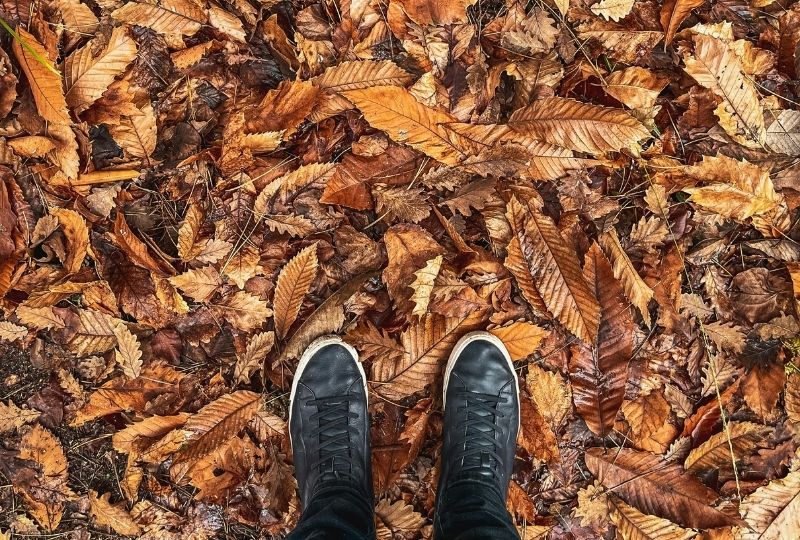 Kaip pasiruošti rudens–žiemos peršalimo sezonui? Paprasta formulė stipresniam imunitetui