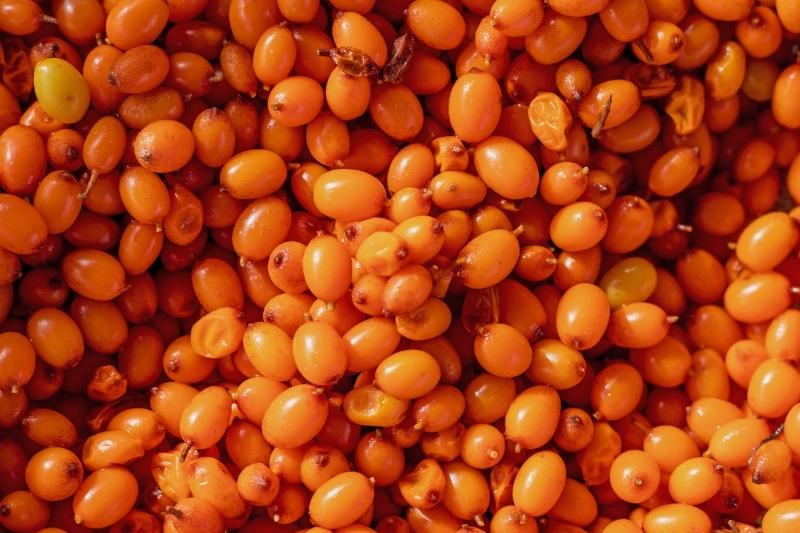 saltalankiu uogos augalinis omega-3