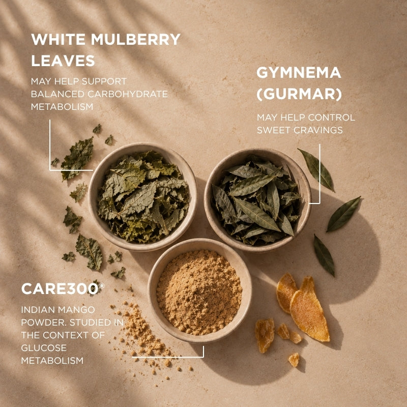 Food supplement for appetite control, glucose metabolism, carbohydrate metabolism and slimming OXANTIN® MED Carbo Reduce