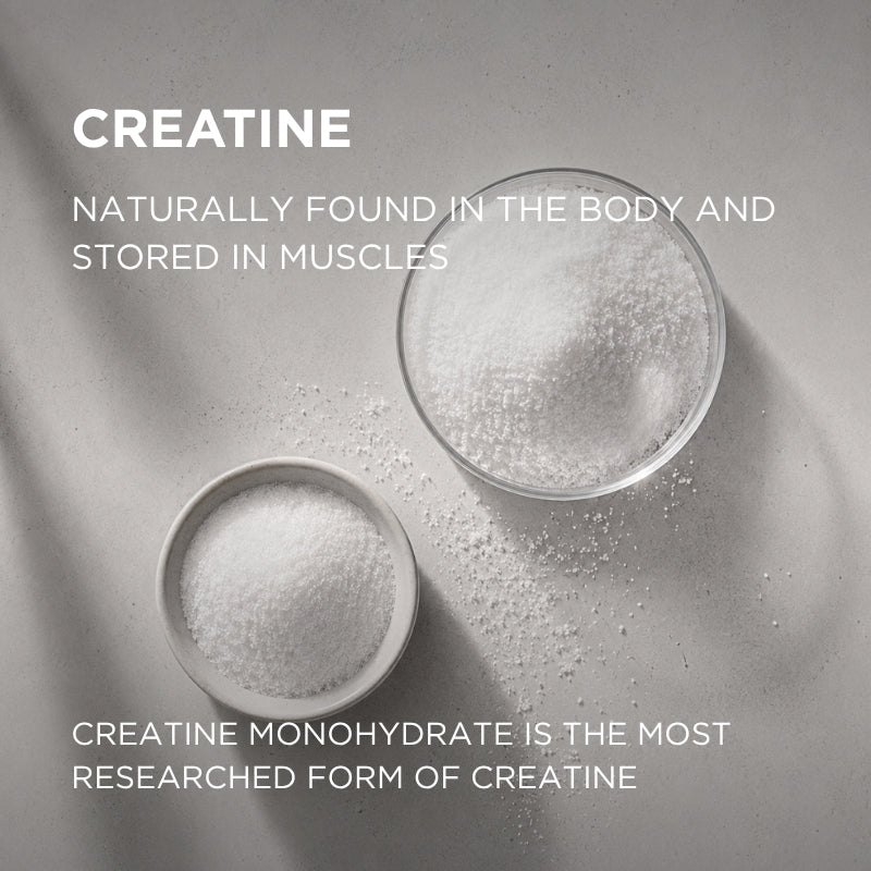 creatine monohydrate omegalab