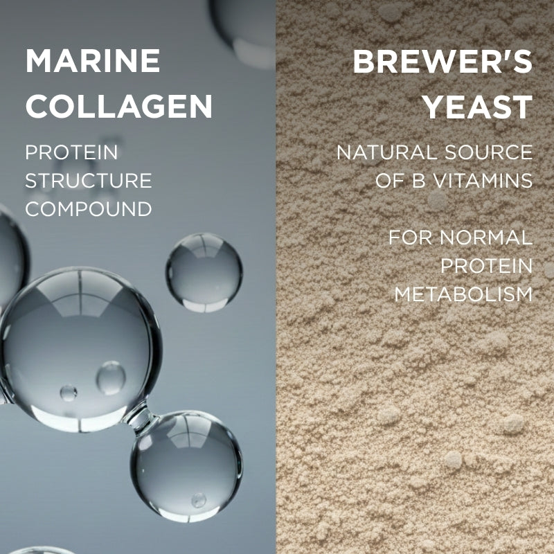 marine collagen and brewers yeast