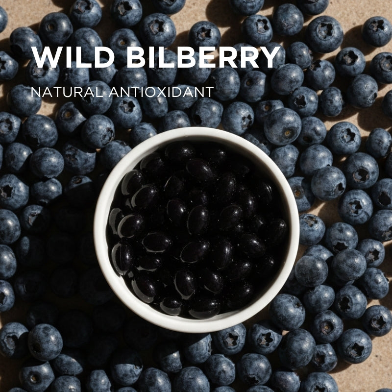 wild bilberry antioxidant