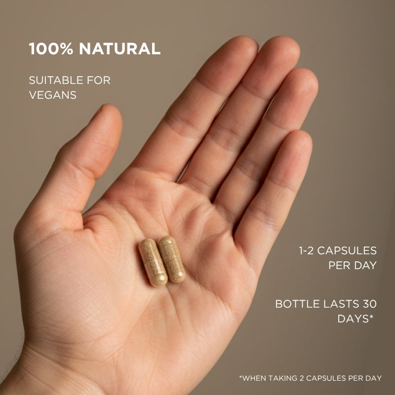 supplement for focus memory and concentration positive focus and memory capsules