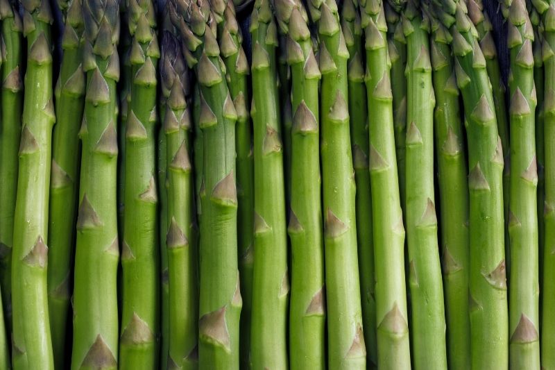 Folate