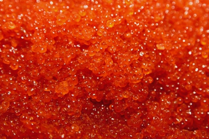 Zebrinės danijos ikrai