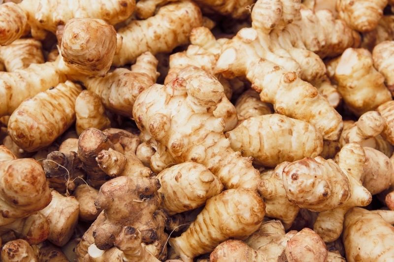 Inulin