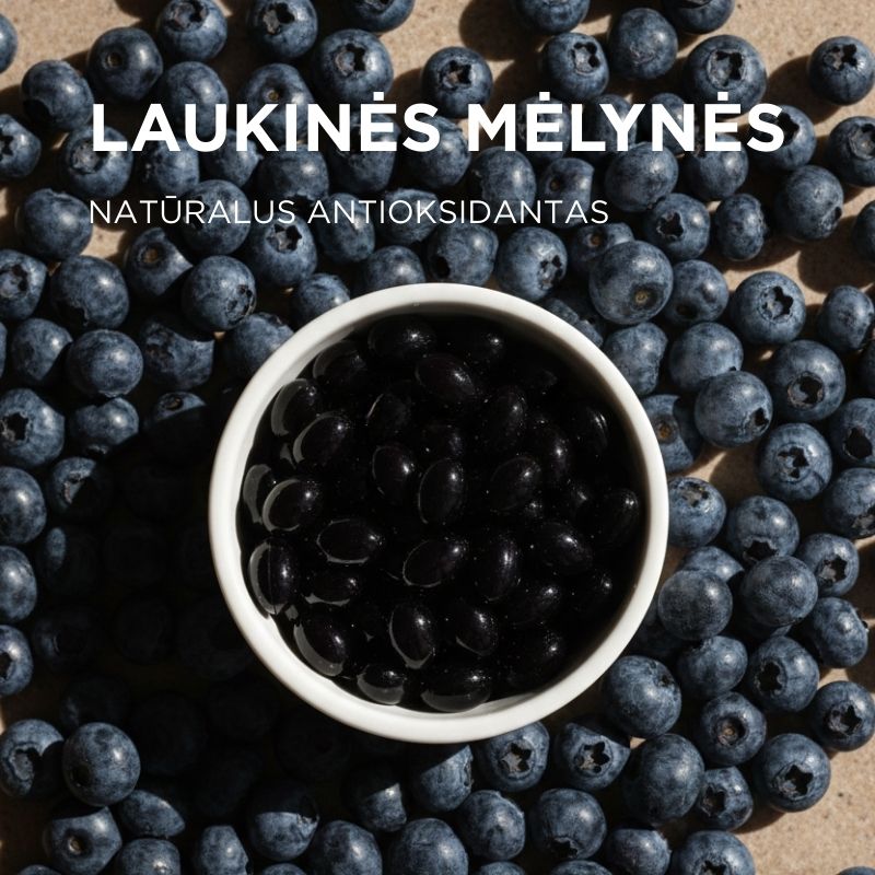 NORDIC EXTRACT BILBERRY