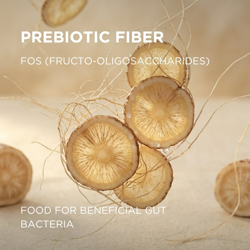 prebiotic fiber