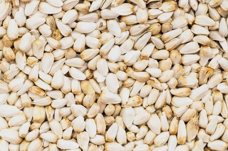 Linoleic Acid