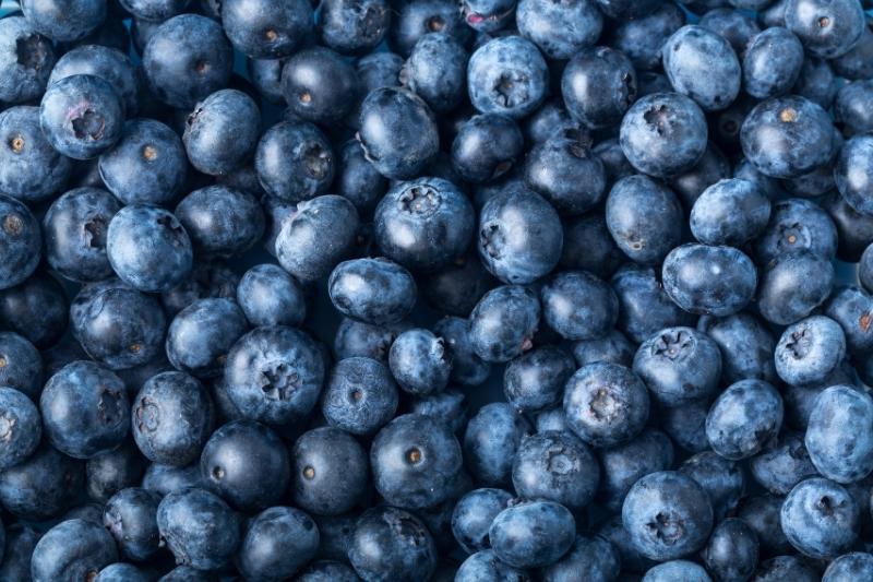 Bilberry Extract