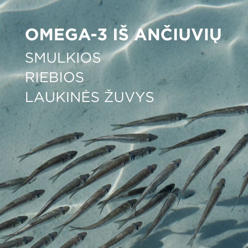 Fish Oil with Phytosterols CARDIO HEART OMEGA-3